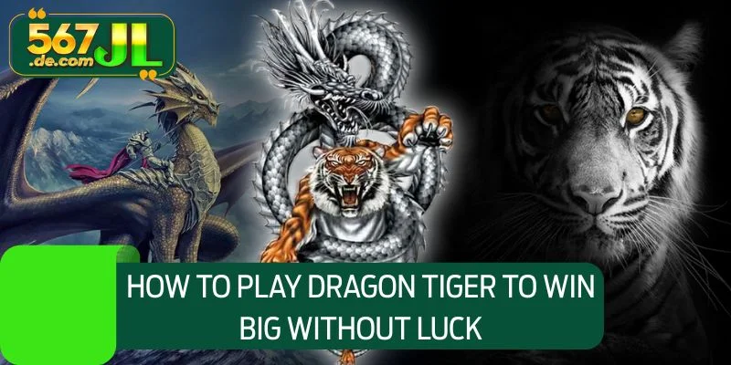 How to Play Dragon Tiger to win big without luck