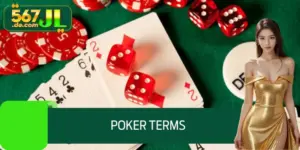 Poker Terms - Tips to Help Newbies Quickly Improve Their Level